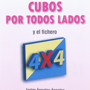 Folleto 4x4. Percepción con Cubos por todos lados